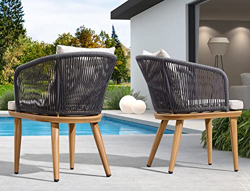 PURPLE LEAF 11 Pieces Patio Dining Set Wicker Outdoor Furniture Rectangular Table and Chairs Set for Garden Deck Teak-Finish Aluminum Frame Backyard Kitchen Set, Cushions and Pillows Included